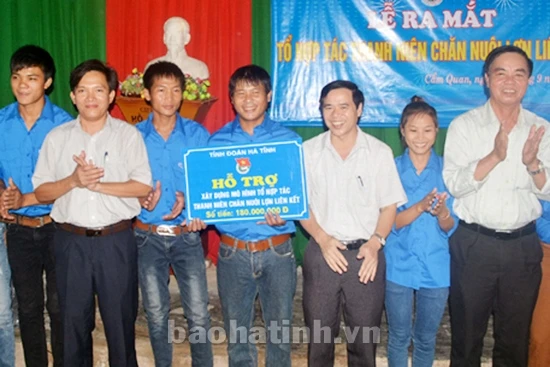 Ra mắt tổ hợp tác thanh niên chăn nuôi lợn liên kết ảnh 1