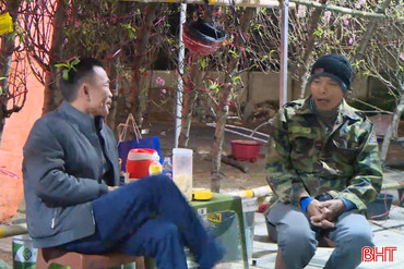 Ăn ngủ cùng đào, mai trong những đêm giá lạnh giáp Tết