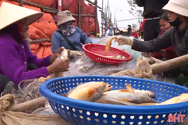 Ngư dân Lộc Hà trúng đậm hải sản giá trị cao