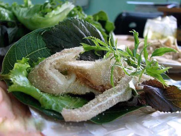 Phát hiện nhiều tiềm năng chữa bệnh của cây đinh lăng