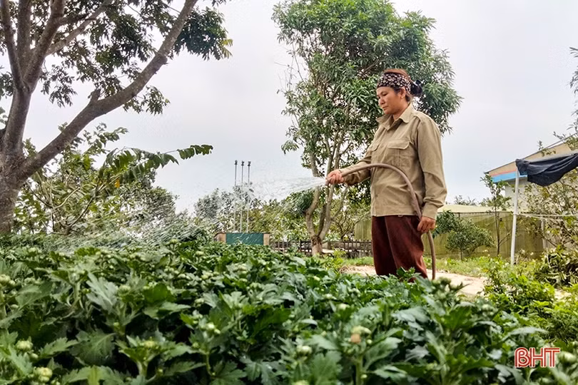 Thêm sắc thắm ngày xuân...