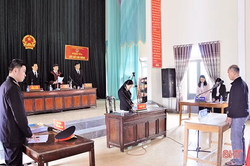 Hà Tĩnh gắn bảo vệ rừng với phát triển đa dạng hệ sinh thái