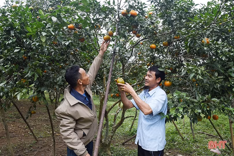 Những vùng quê bình yên nơi biên cương Hà Tĩnh