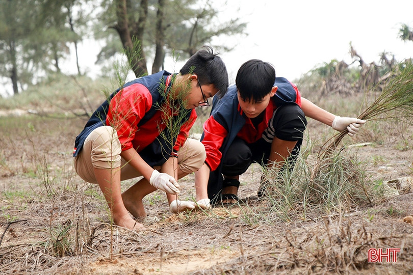 Học sinh iSchool Hà Tĩnh tham gia chiến dịch trồng cây xanh bảo vệ môi trường