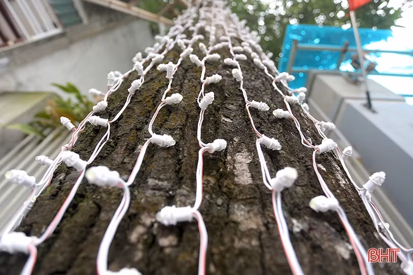 Thợ lắp đèn trang trí “đắt khách” dịp cận tết