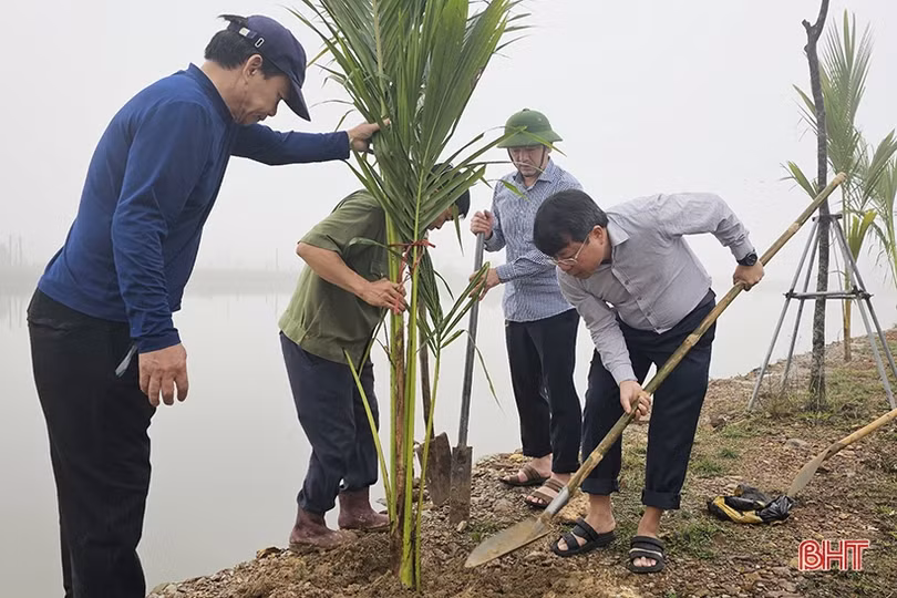 TP Hà Tĩnh trồng gần 5.000 cây dừa ở vùng sinh thái Đồng Ghè
