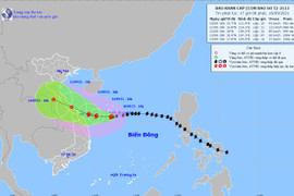 Tin mới nhất về đường đi, sức gió của cơn bão số 5