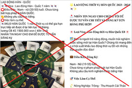 Hà Tĩnh cảnh báo “bẫy” tuyển dụng lao động visa E8 Hàn Quốc