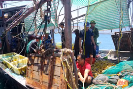 Đuổi bắt tàu giã cào khai thác trái phép trên vùng biển phía Nam Hà Tĩnh