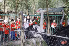 Đồng Nôi “hút” khách trong tuần đầu năm 2020