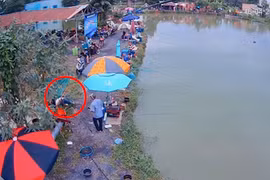 Mất cá sau khi sống ảo