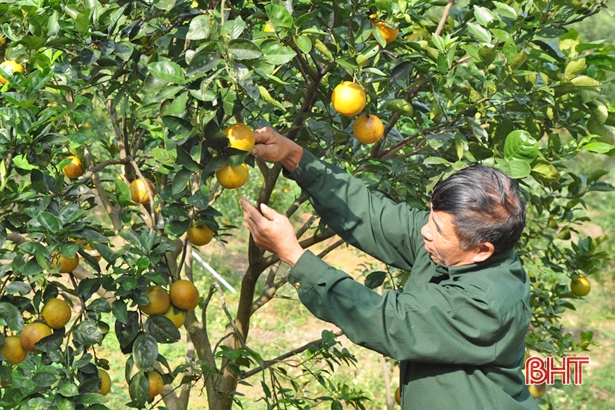 Báo Hà Tĩnh nhận bằng khen của Ban Tuyên giáo Trung ương