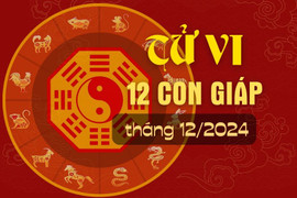 Tử vi 12 con giáp tháng 12/2024 - may mắn của 12 con giáp tháng 12/2024 dương lịch