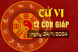 Tử vi hàng ngày - Tử vi 12 con giáp hôm nay ngày 24/11/2024.