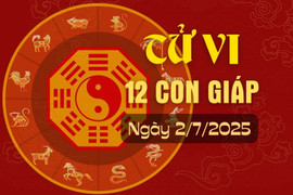 Tử vi hàng ngày - Tử vi 12 con giáp hôm nay ngày 2/7/2025.