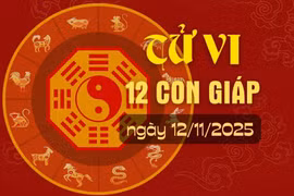 Tử vi hàng ngày - Tử vi 12 con giáp hôm nay ngày 12/11/2025