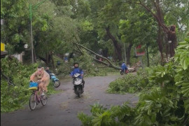 Cảnh tượng cây đổ la liệt trên con đường thơ mộng nhất Thủ đô Hà Nội sau bão Yagi