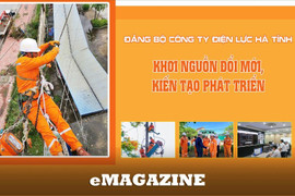 Đảng bộ Công ty Điện lực Hà Tĩnh: Khơi nguồn đổi mới, kiến tạo phát triển
