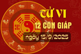 Tử vi hàng ngày - Tử vi 12 con giáp hôm nay ngày 15/9/2025.