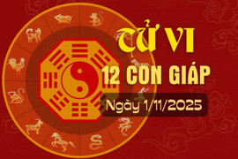 Tử vi hàng ngày - Tử vi 12 con giáp hôm nay ngày 1/11/2025.