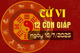 Tử vi hàng ngày - Tử vi 12 con giáp hôm nay ngày 16/7/2025
