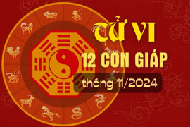 Tử vi 12 con giáp tháng 11/2024