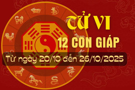 Tử vi tuần mới từ ngày 20/10 đến 26/10/2025 của 12 con giáp.
