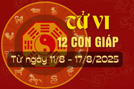 Tử vi tuần mới từ ngày 11/8 đến 17/8/2025 của 12 con giáp.