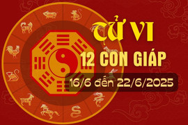 Tử vi tuần mới từ ngày 16/6 đến 22/6/2025 của 12 con giáp