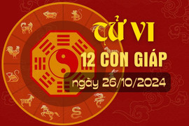 Tử vi hàng ngày - Tử vi 12 con giáp hôm nay ngày 26/10/2024.