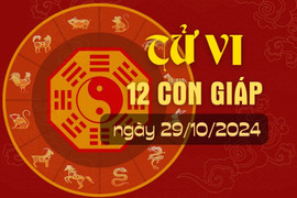 Tử vi hàng ngày - Tử vi 12 con giáp hôm nay ngày 29/10/2024.