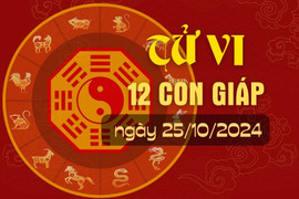 Tử vi hàng ngày - Tử vi 12 con giáp hôm nay ngày 25/10/2024.