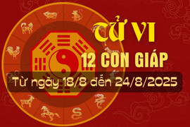 Tử vi tuần mới từ ngày 18/8 đến 24/8/2025 của 12 con giáp