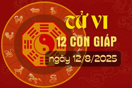 Tử vi hàng ngày - Tử vi 12 con giáp hôm nay ngày 12/8/2025.