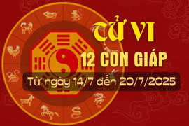 Tử vi tuần mới từ ngày 14/7 đến 20/7/2025 của 12 con giáp.