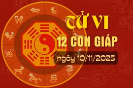 Tử vi hàng ngày - Tử vi 12 con giáp hôm nay ngày 10/11/2025