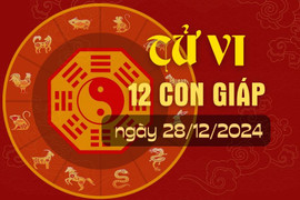 Tử vi hàng ngày - Tử vi 12 con giáp hôm nay ngày 28/12/2024. 