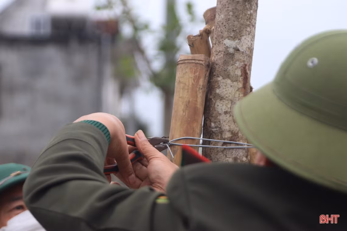 Chủ tịch UBND tỉnh Hà Tĩnh tham gia trồng cây tại các địa phương