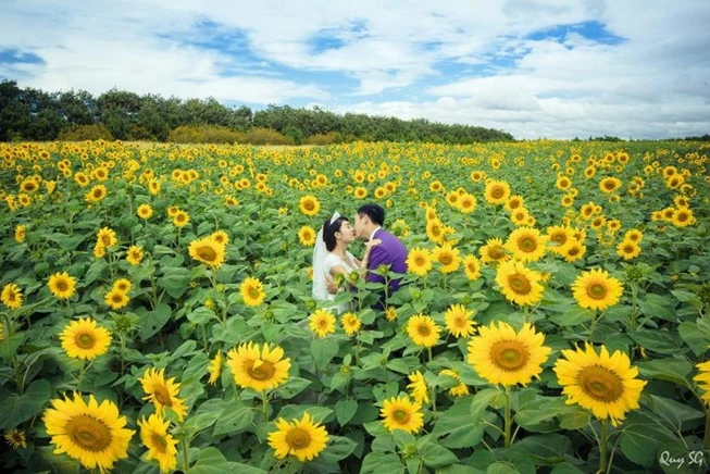 kham pha 5 mua hoa dep khap ca nuoc trong cuoi thang 11