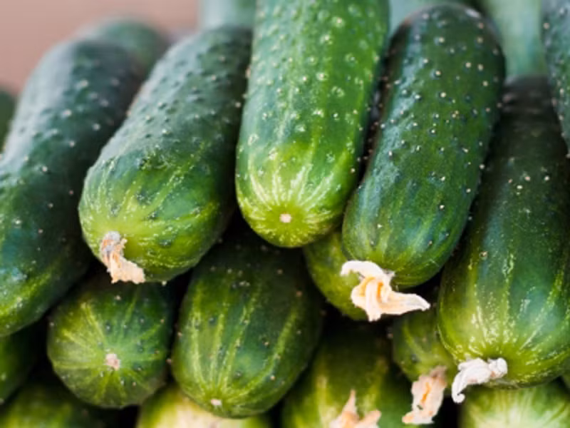 20 loi ich tuyet voi cua qua dua chuot