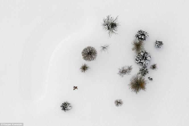 ngam thu sang dong toi tuyet dep