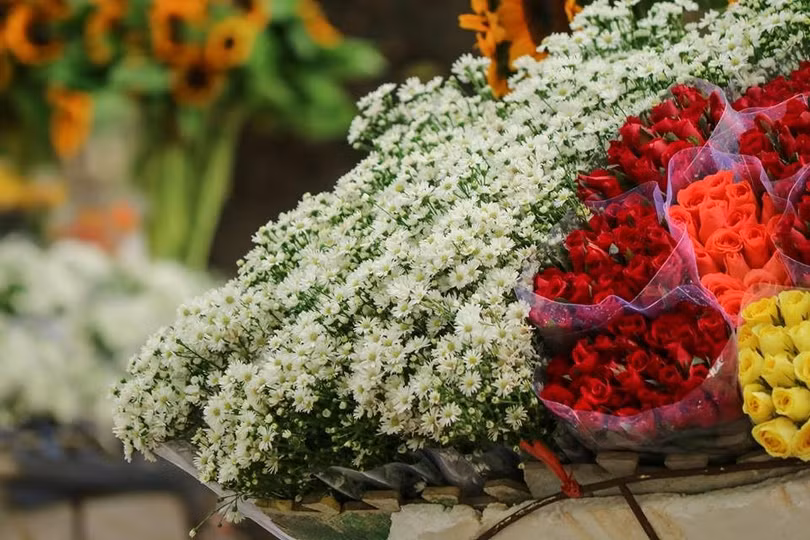 dep ngo ngang cuc hoa mi xuong pho don gio dong ve