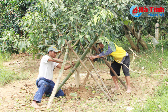 huong khe tap trung khoi phuc san xuat vu dong sau lu