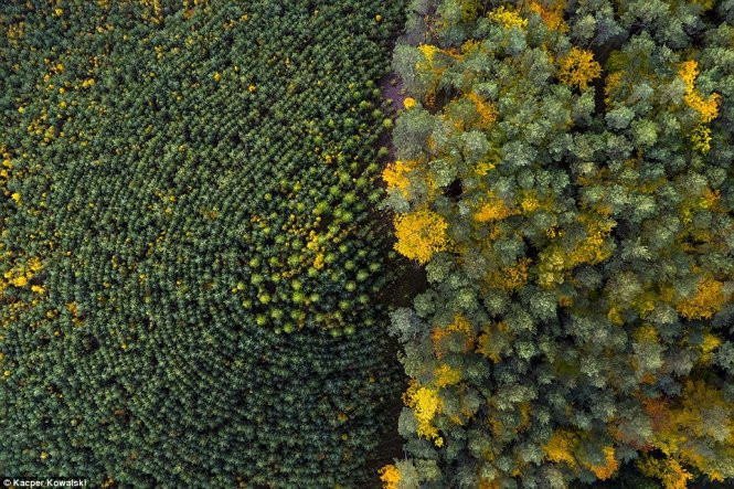 ngam thu sang dong toi tuyet dep