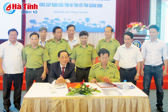 bao ve rung tai goc o vung giap ranh ha tinh quang binh