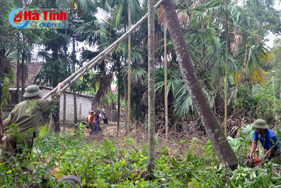 hoi lhpn ha tinh giup dan xay dung nha sach vuon dep