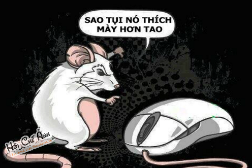 10 anh hai hot nhat facebook trong ngay