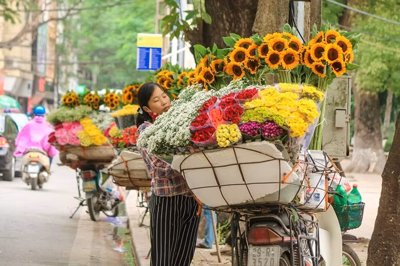 dep ngo ngang cuc hoa mi xuong pho don gio dong ve