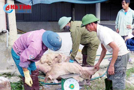 de nghi bo tai chinh xem xet ho tro vac xin hoa chat chong dich tai xanh