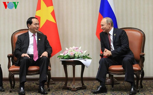 Chủ tịch nước Trần Đại Quang và Tổng thống Putin chu tich nuoc tran dai quang gap rong rai cac lanh dao apec